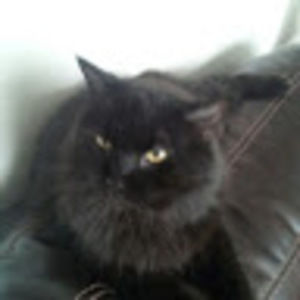 Meet your Posher, Blake